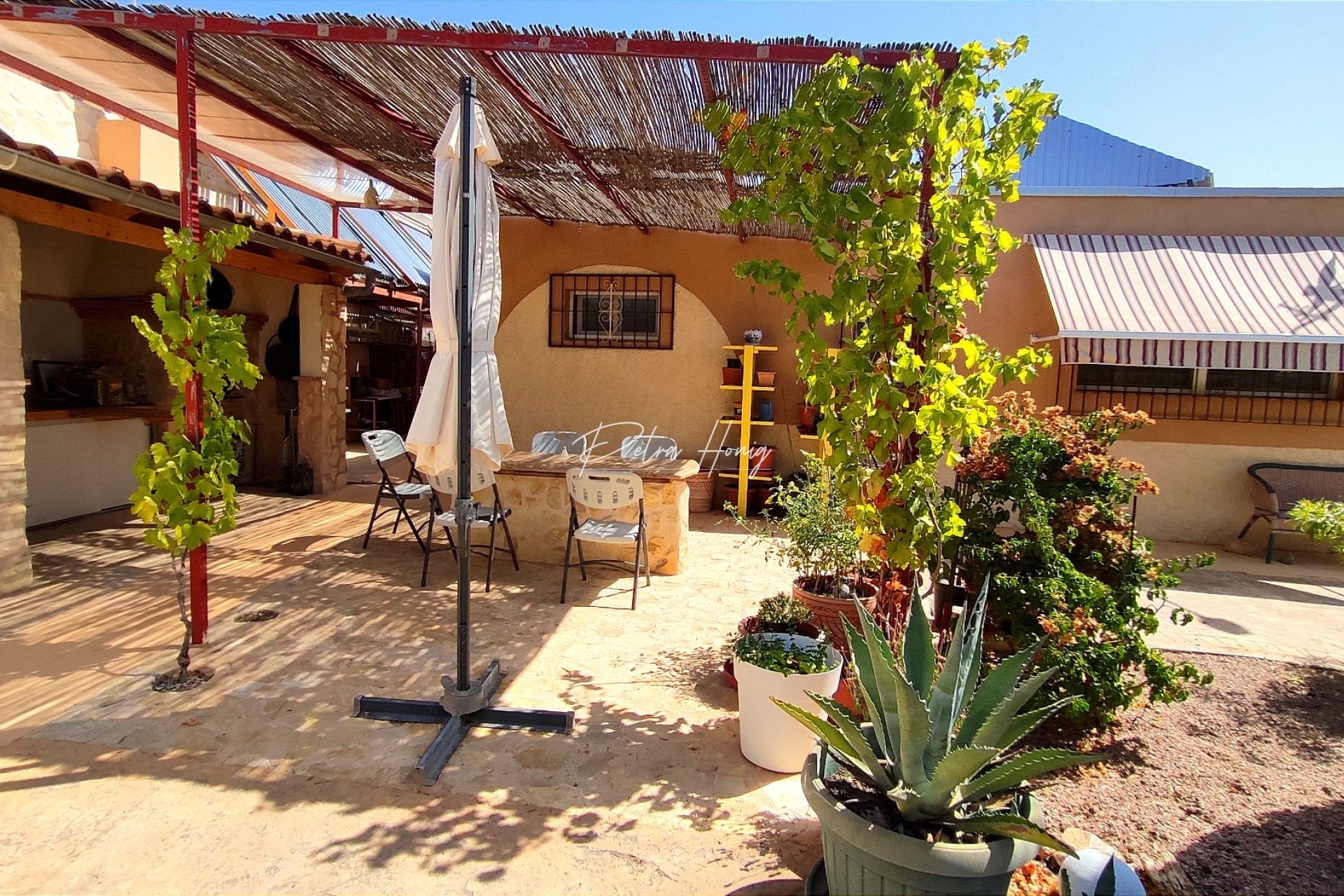 Reventa - Finca - Crevillente