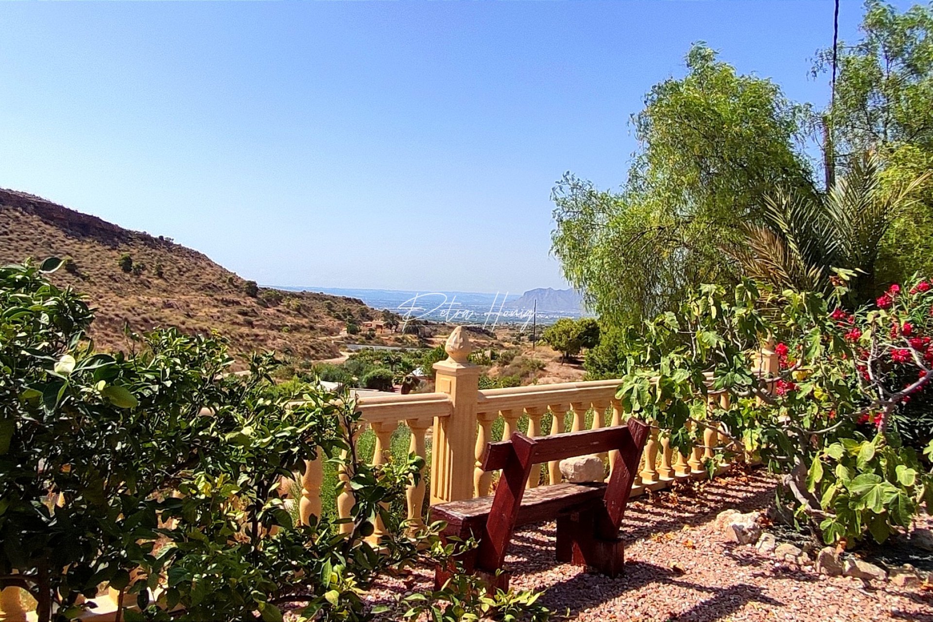 Reventa - Finca - Crevillente