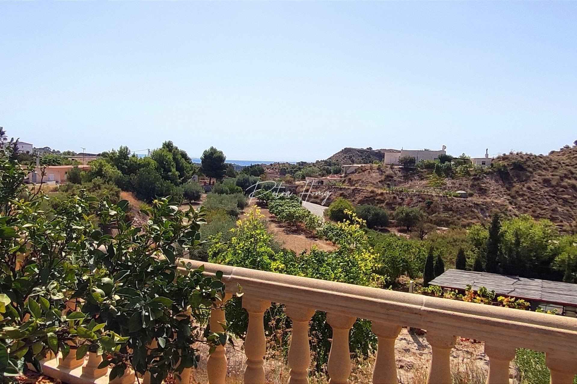 Reventa - Finca - Crevillente