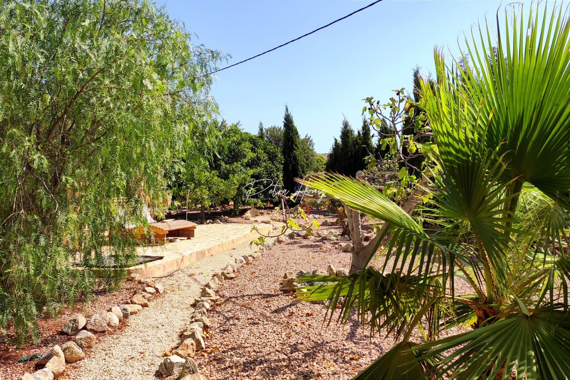 Reventa - Finca - Crevillente