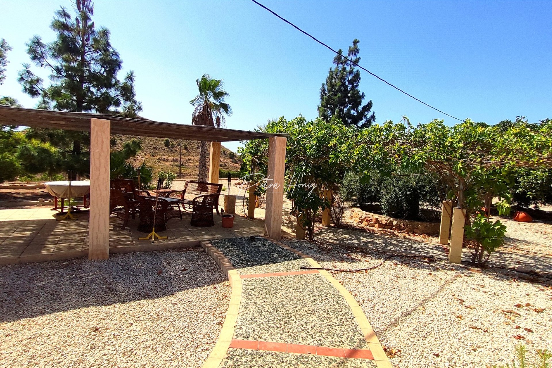 Reventa - Finca - Crevillente