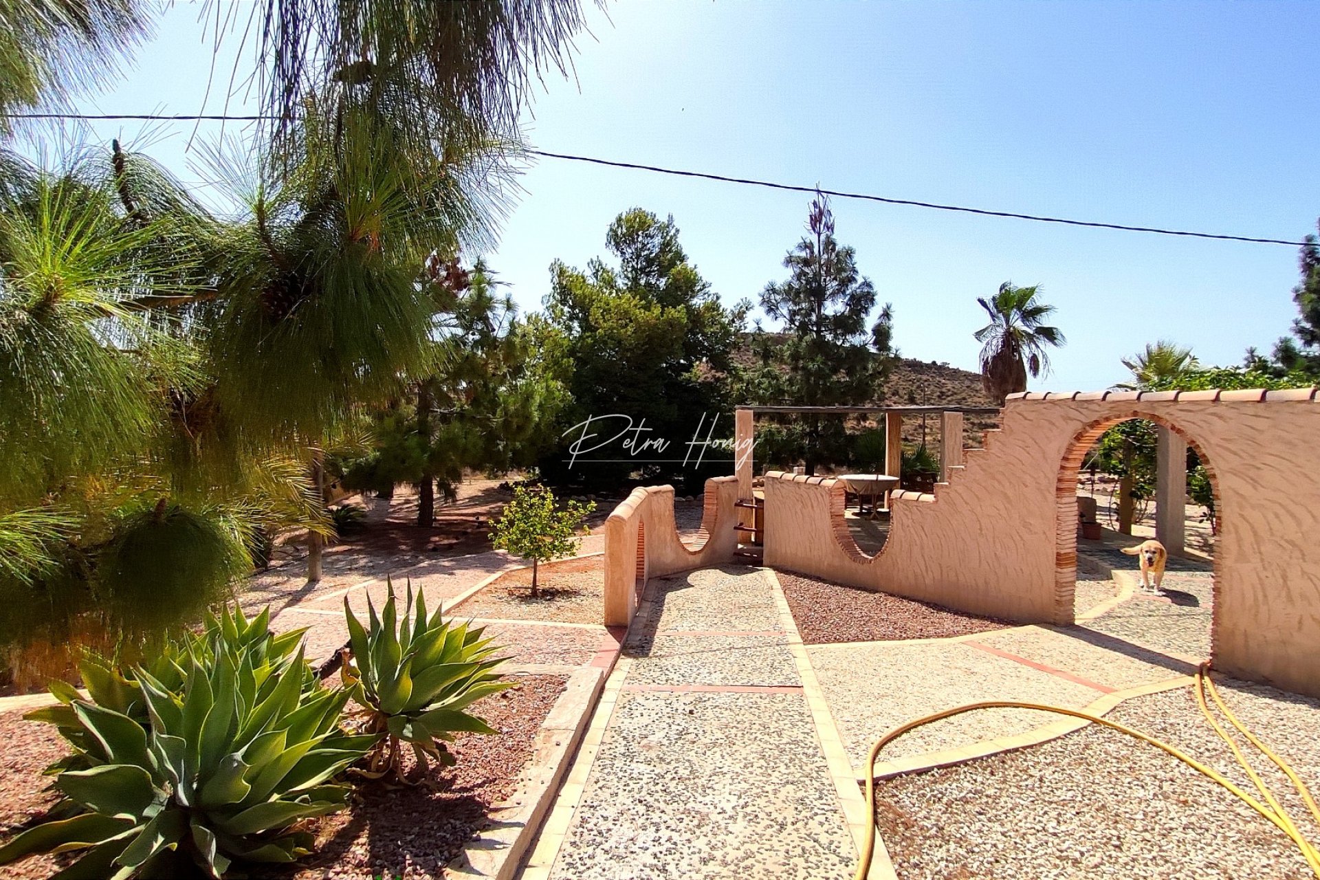 Reventa - Finca - Crevillente