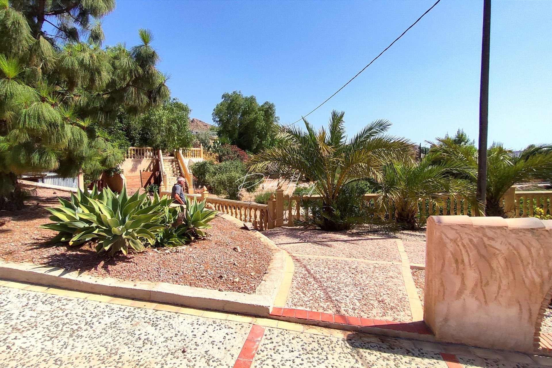 Reventa - Finca - Crevillente
