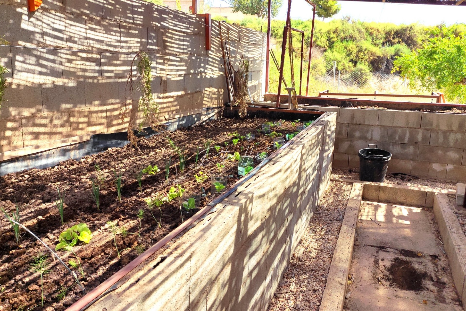 Reventa - Finca - Crevillente