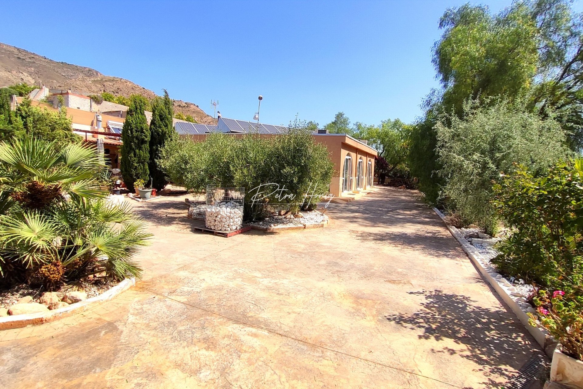 Reventa - Finca - Crevillente