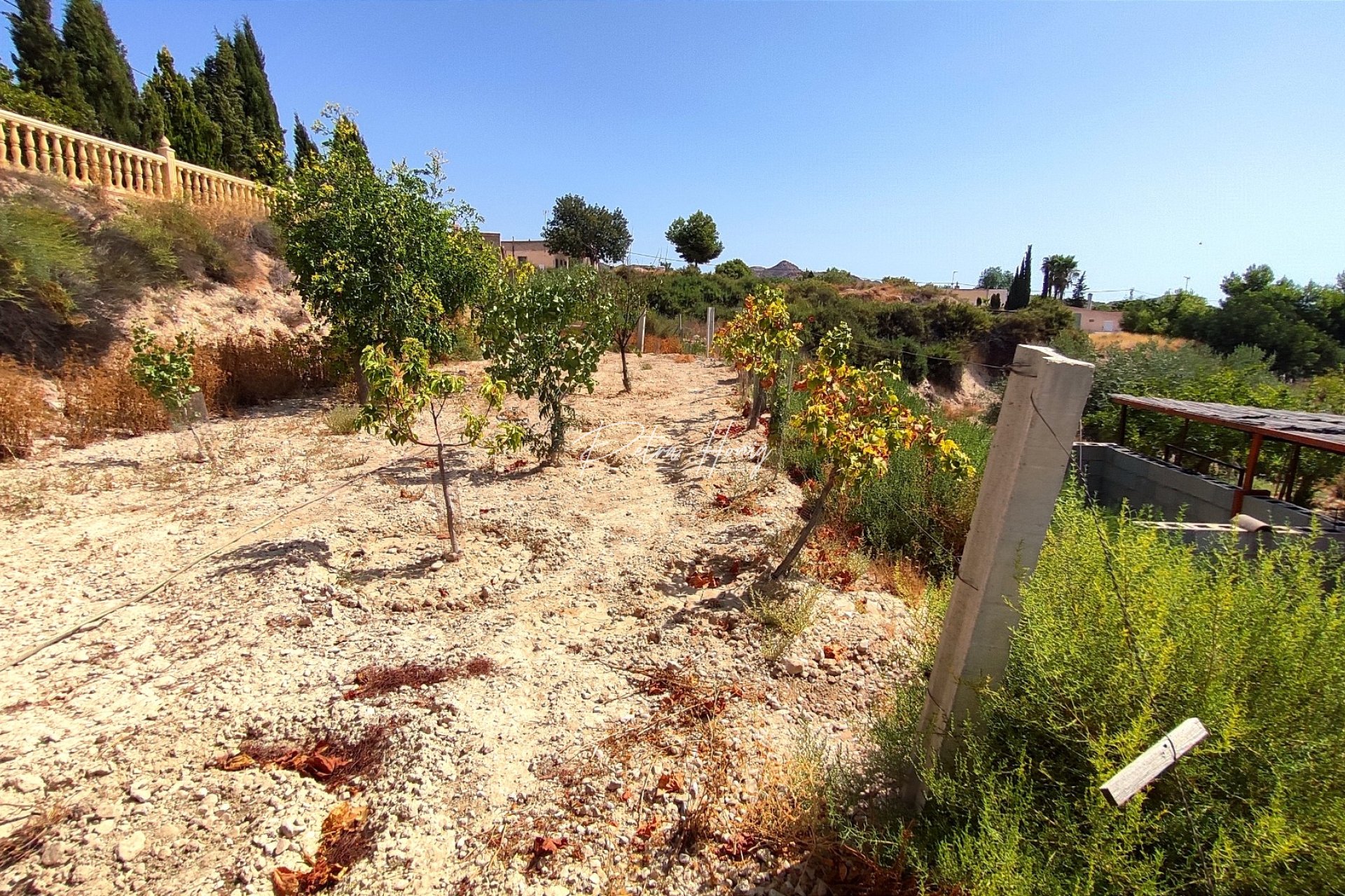Reventa - Finca - Crevillente