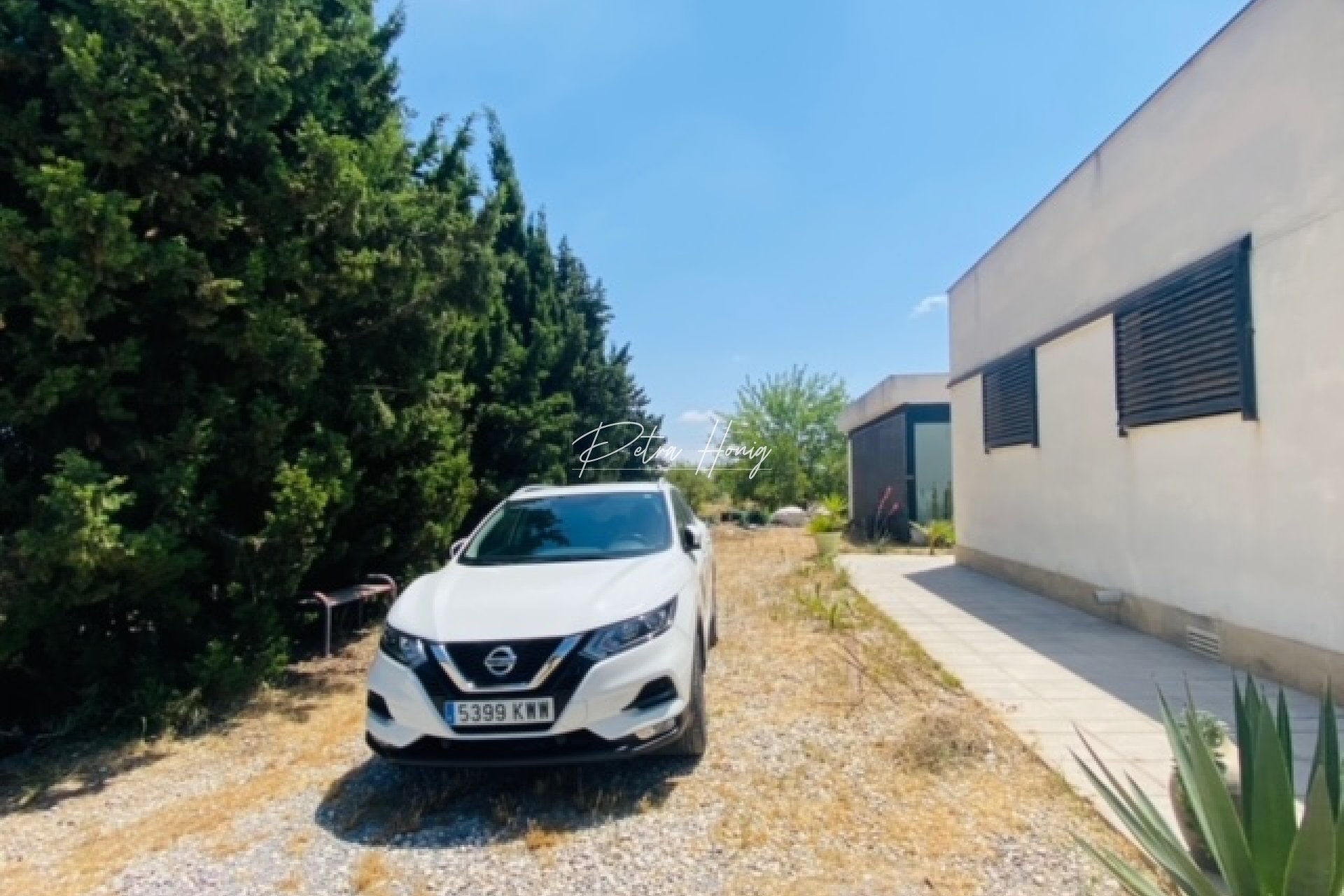Reventa - Finca - Daya Nueva