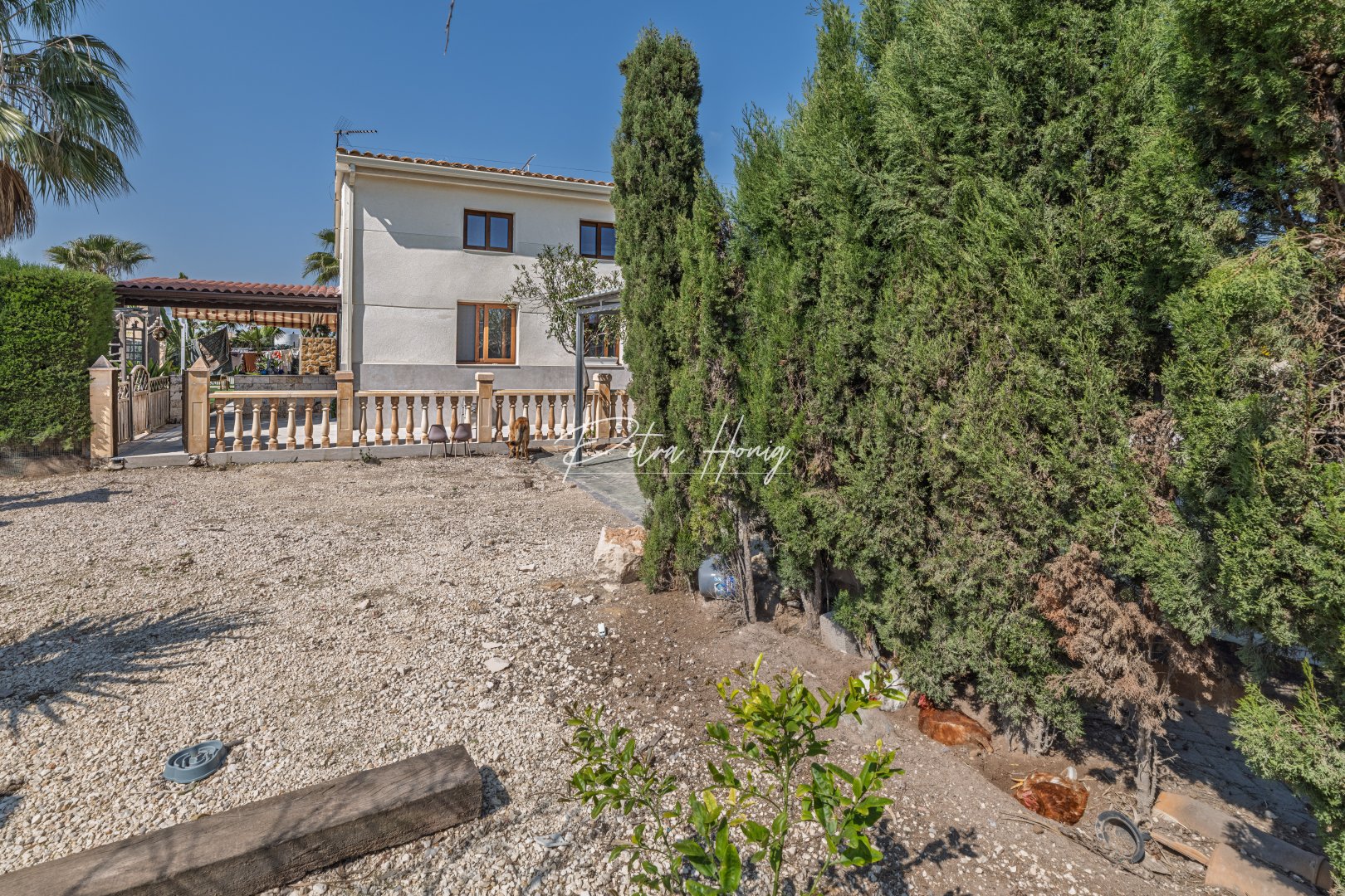 Reventa - Finca - Elche - Daimés