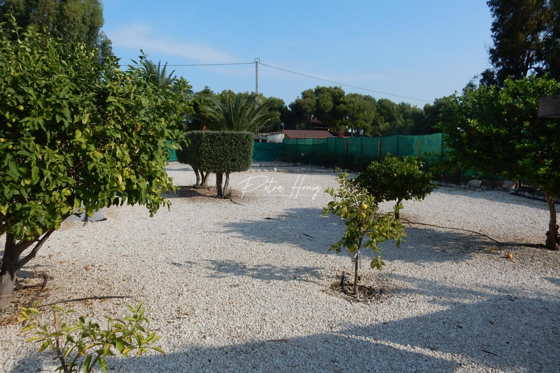 Reventa - Finca - Elche