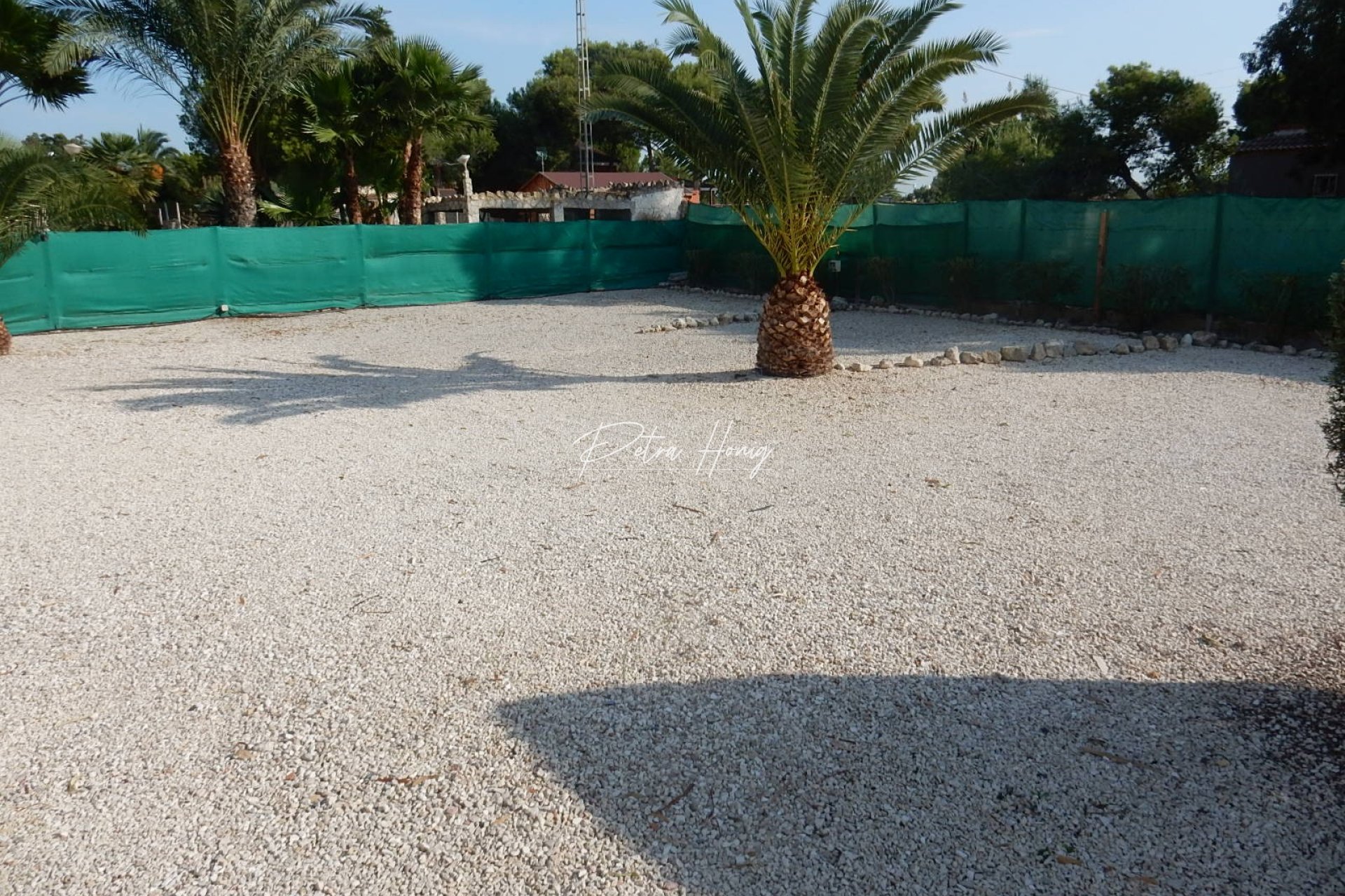 Reventa - Finca - Elche