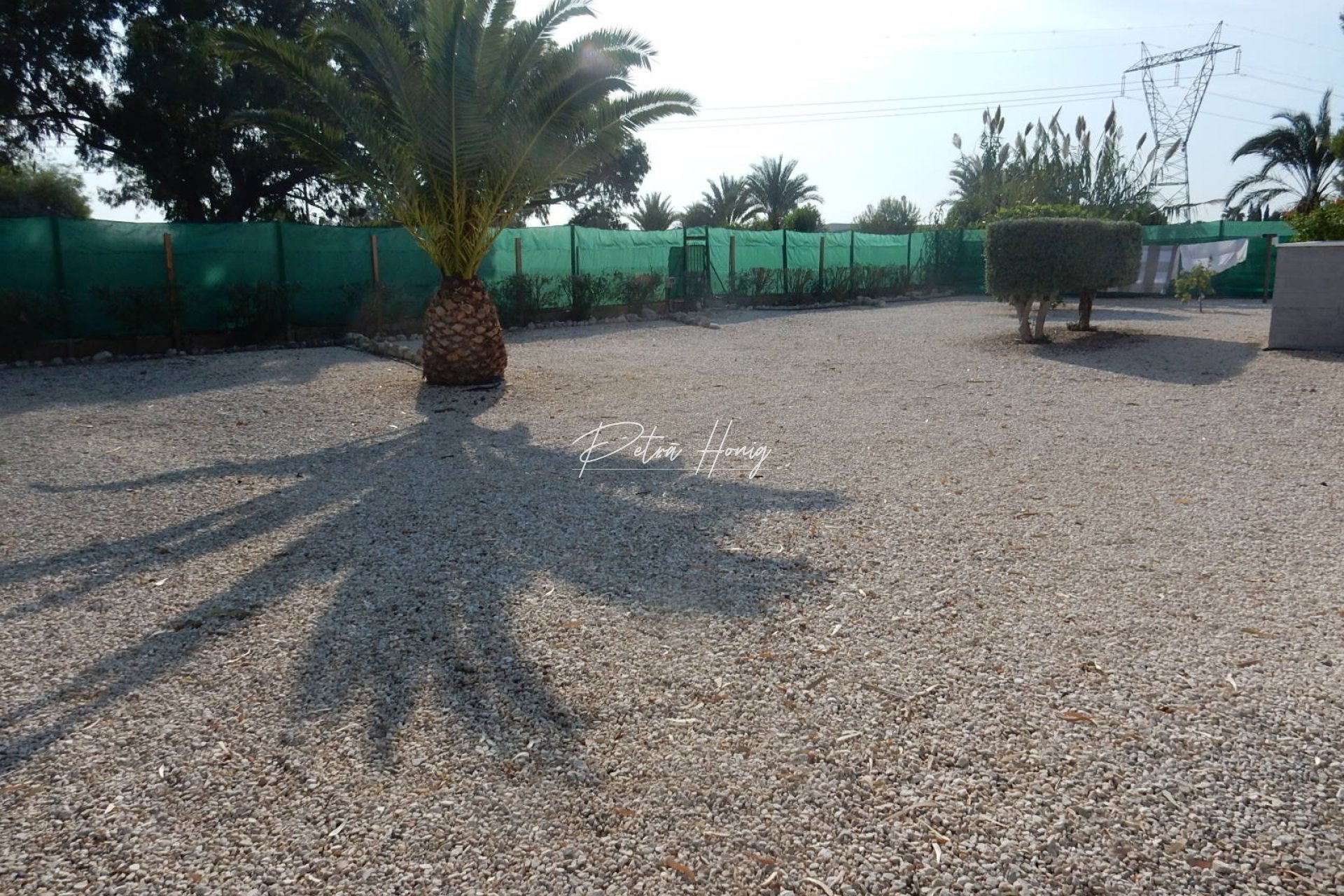 Reventa - Finca - Elche