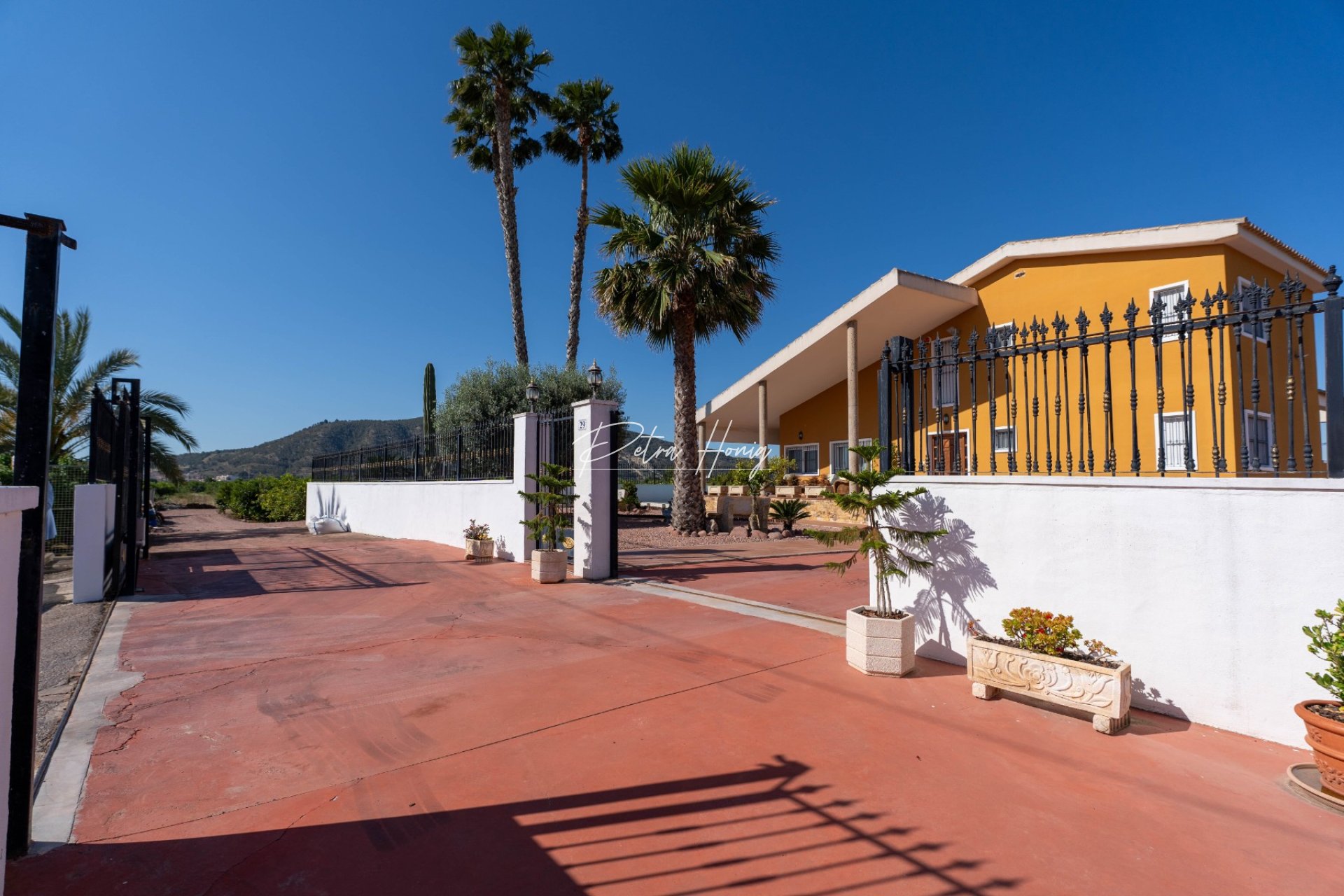 Reventa - Finca - Orihuela Costa - Orihuela