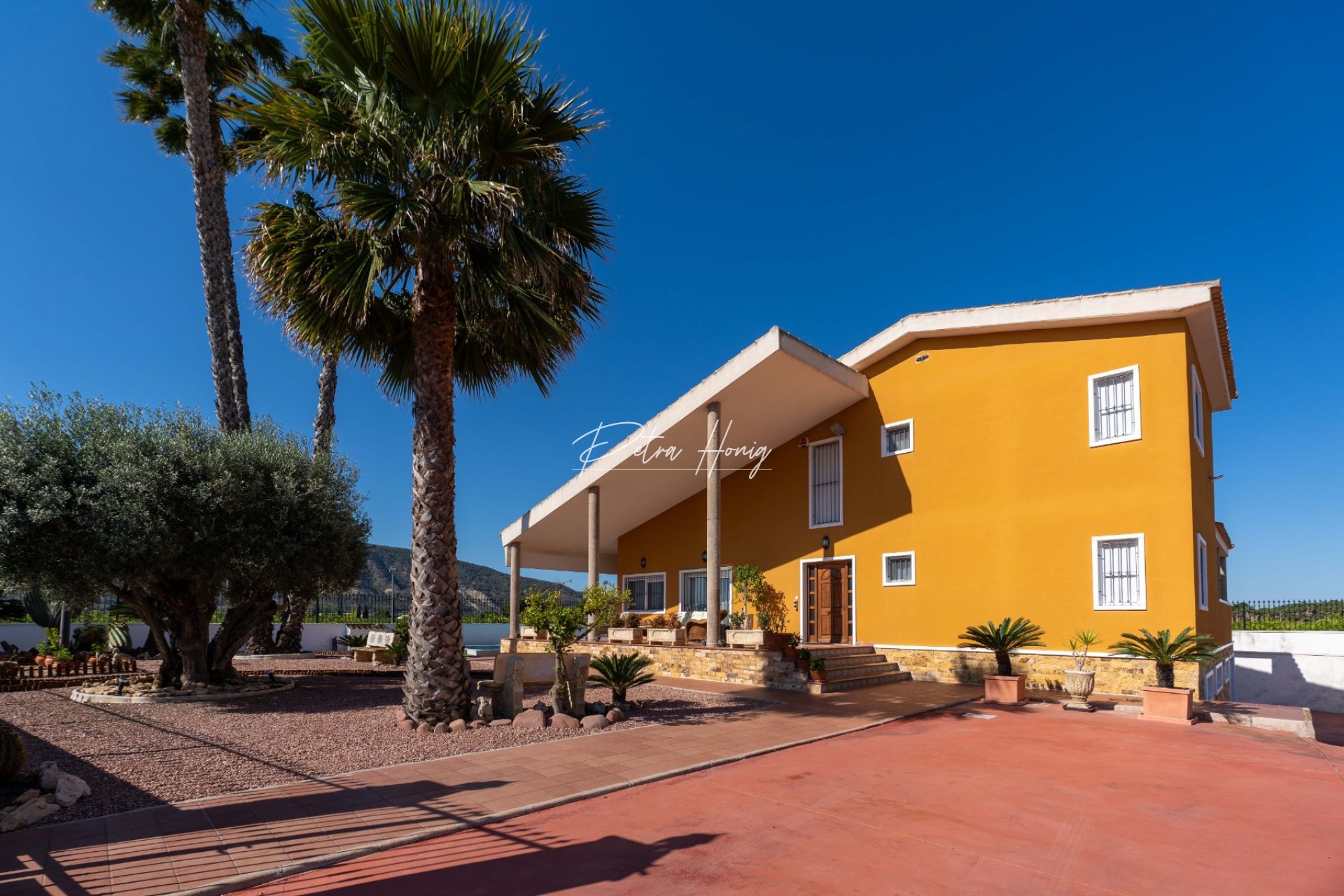 Reventa - Finca - Orihuela Costa - Orihuela