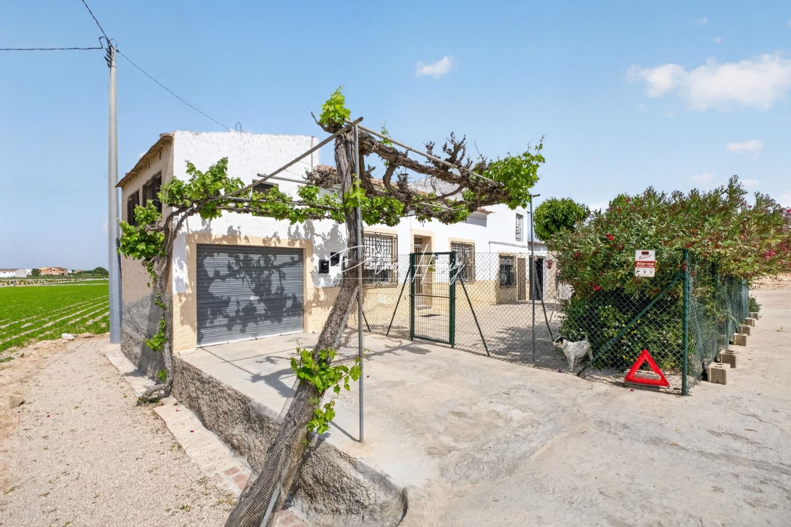 Reventa - Finca - Other areas - Desamparados-Hurchillo-Torremendo