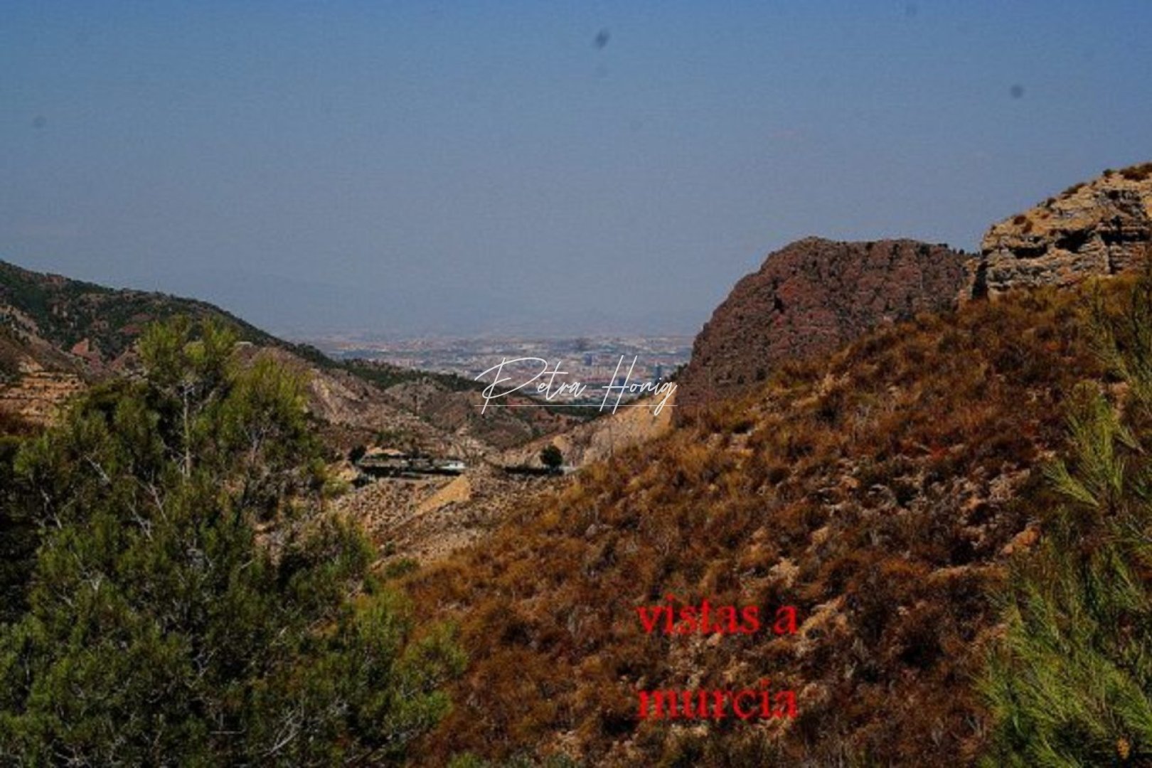 Reventa - Finca - Other areas - Gea Y Truyols