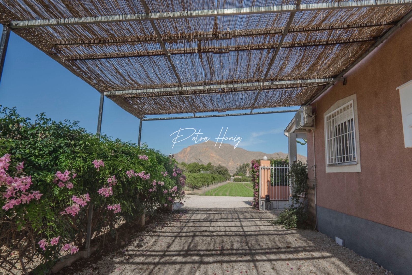 Reventa - Finca - Other areas - San Bartolome