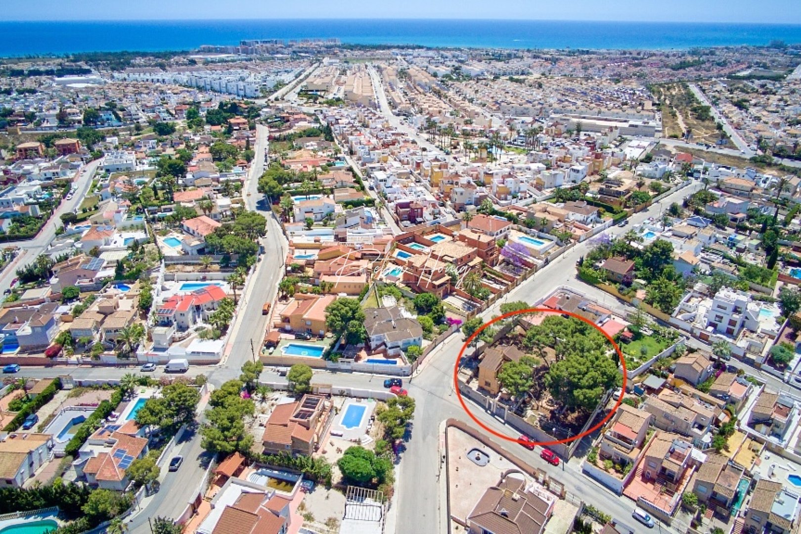 Reventa - Finca - Torrevieja - Los Balcones