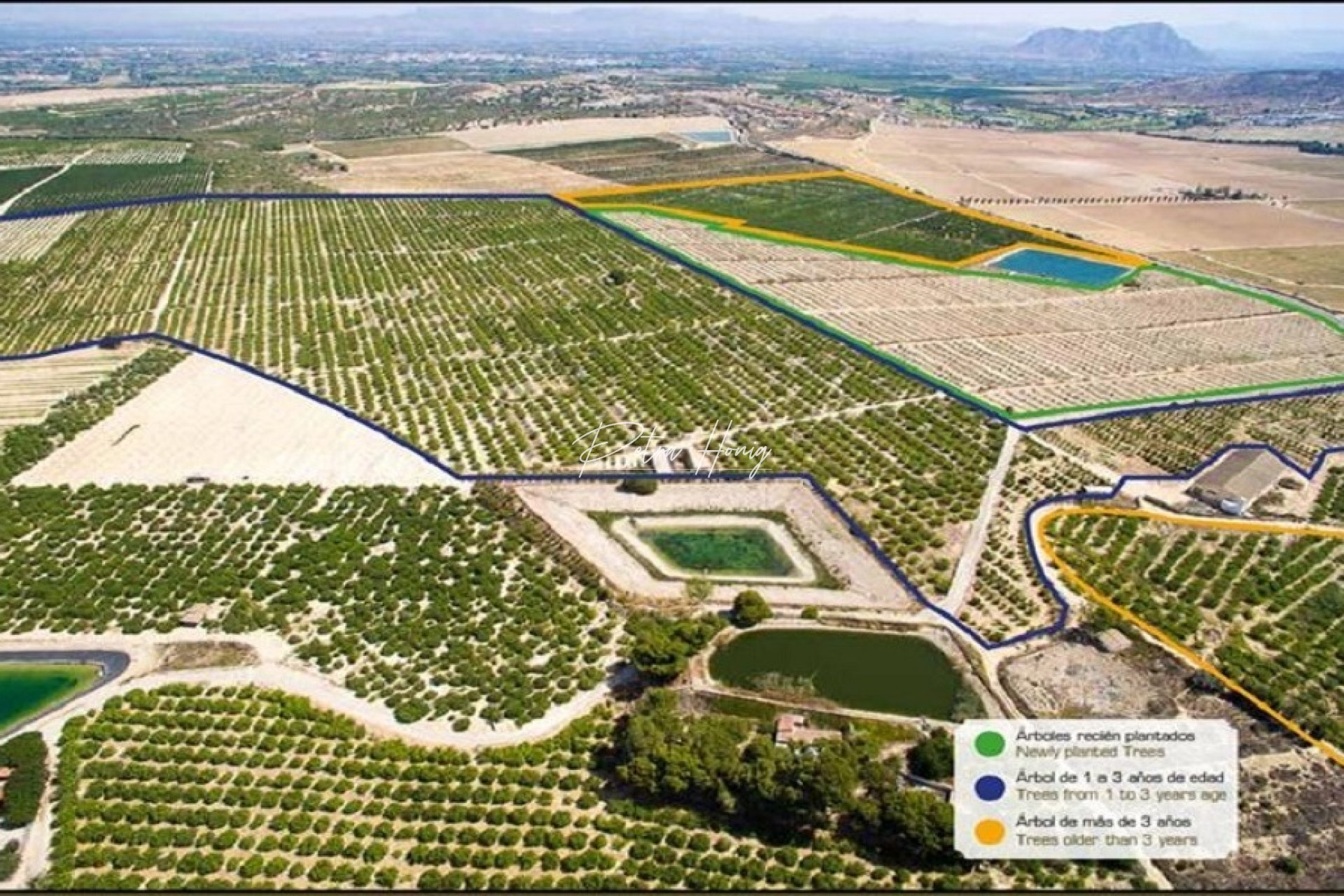 Reventa - Parcela - Algorfa