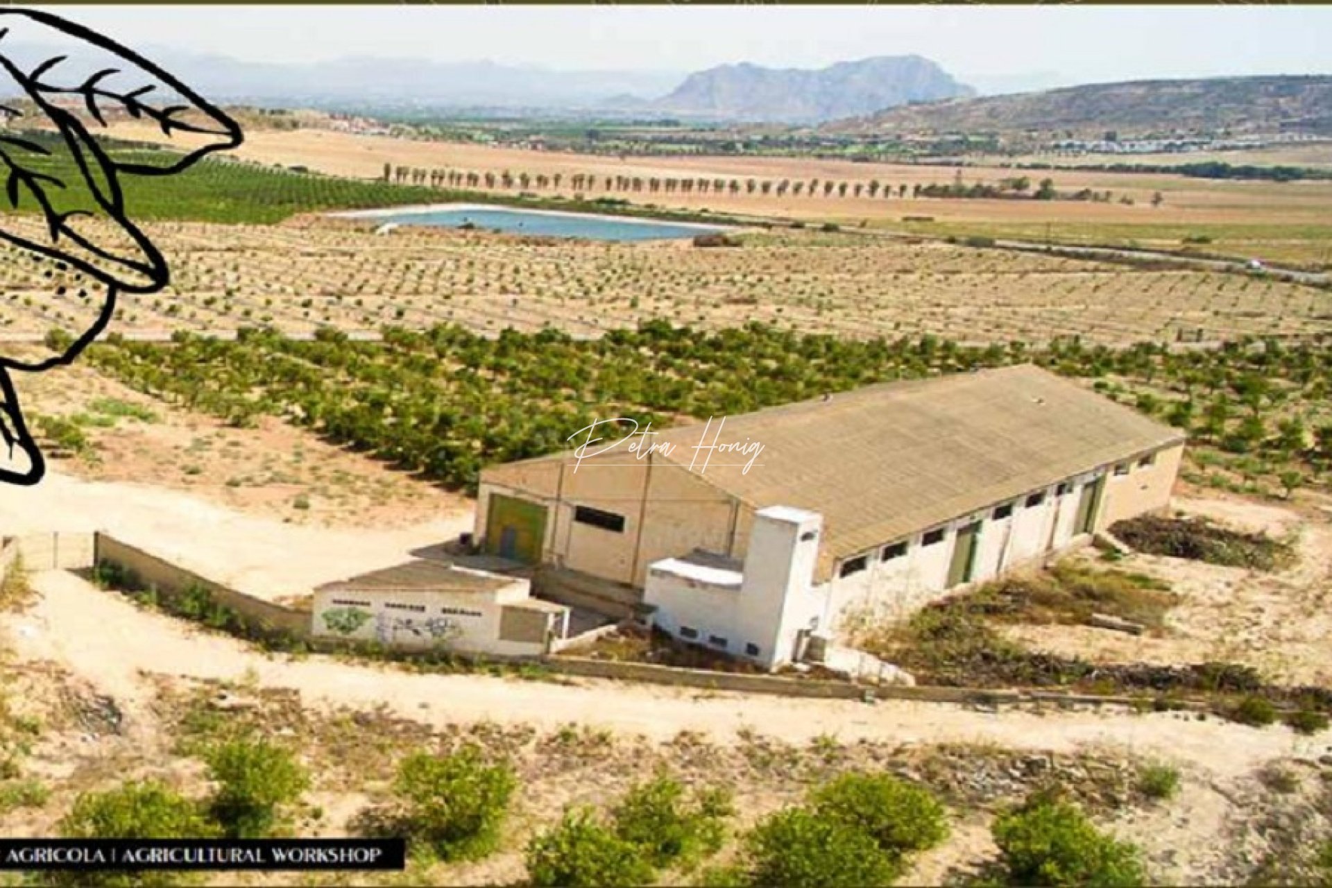 Reventa - Parcela - Algorfa