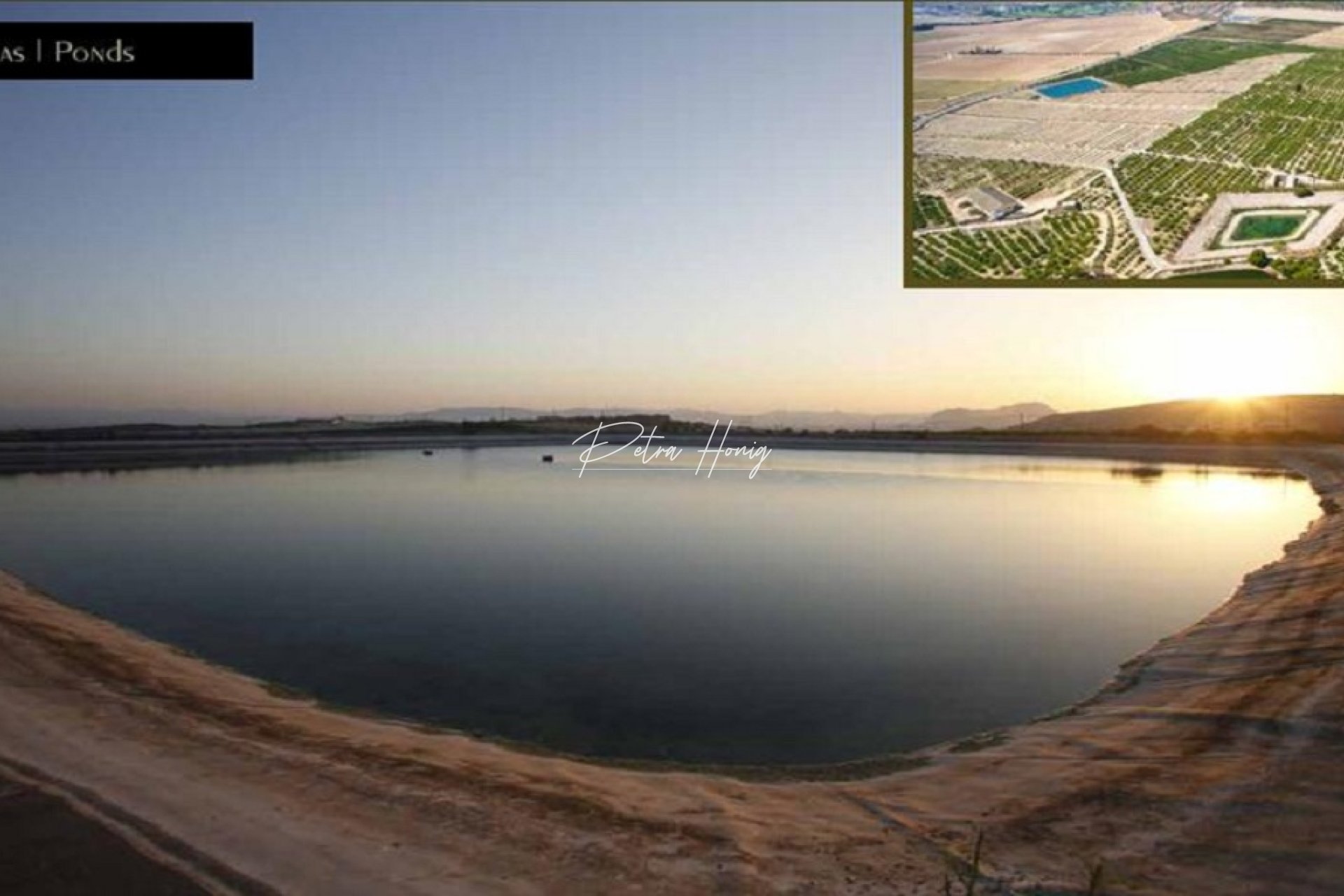 Reventa - Parcela - Algorfa