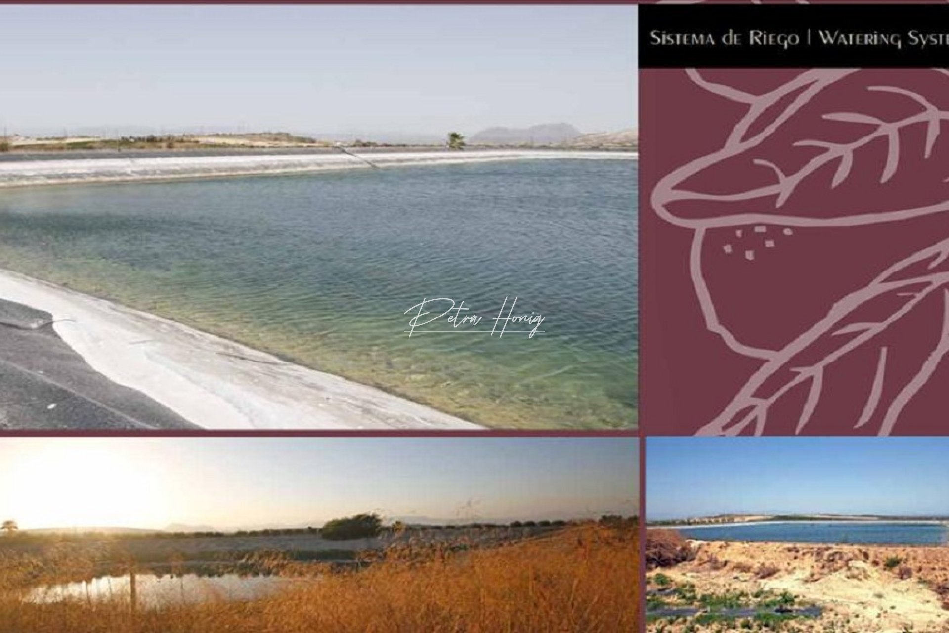Reventa - Parcela - Algorfa