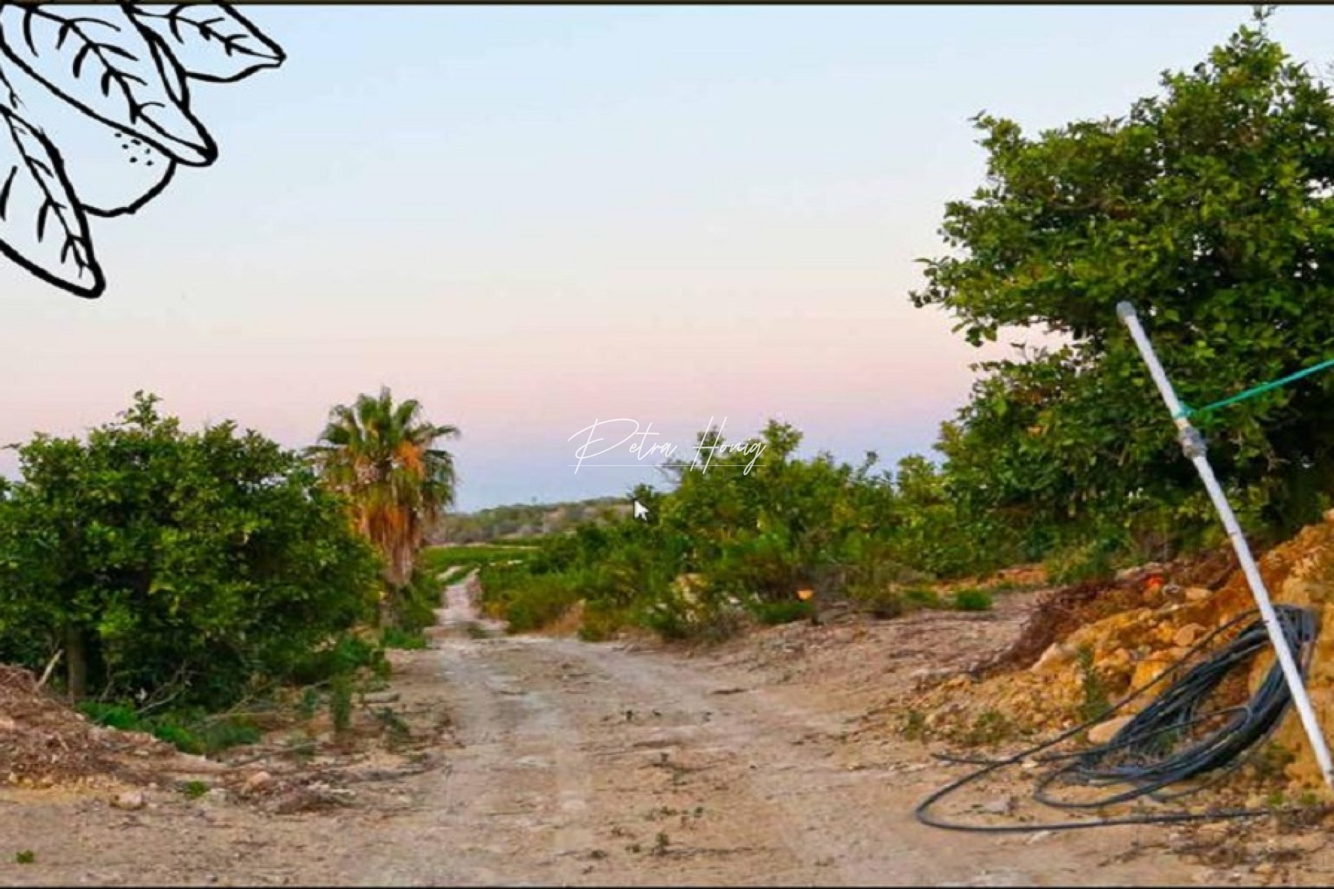 Reventa - Parcela - Algorfa