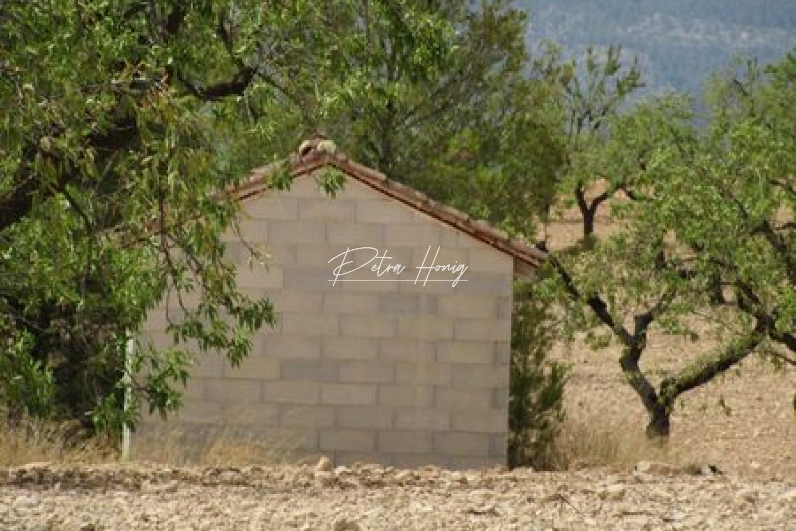 Reventa - Parcela - Other areas - Murcia