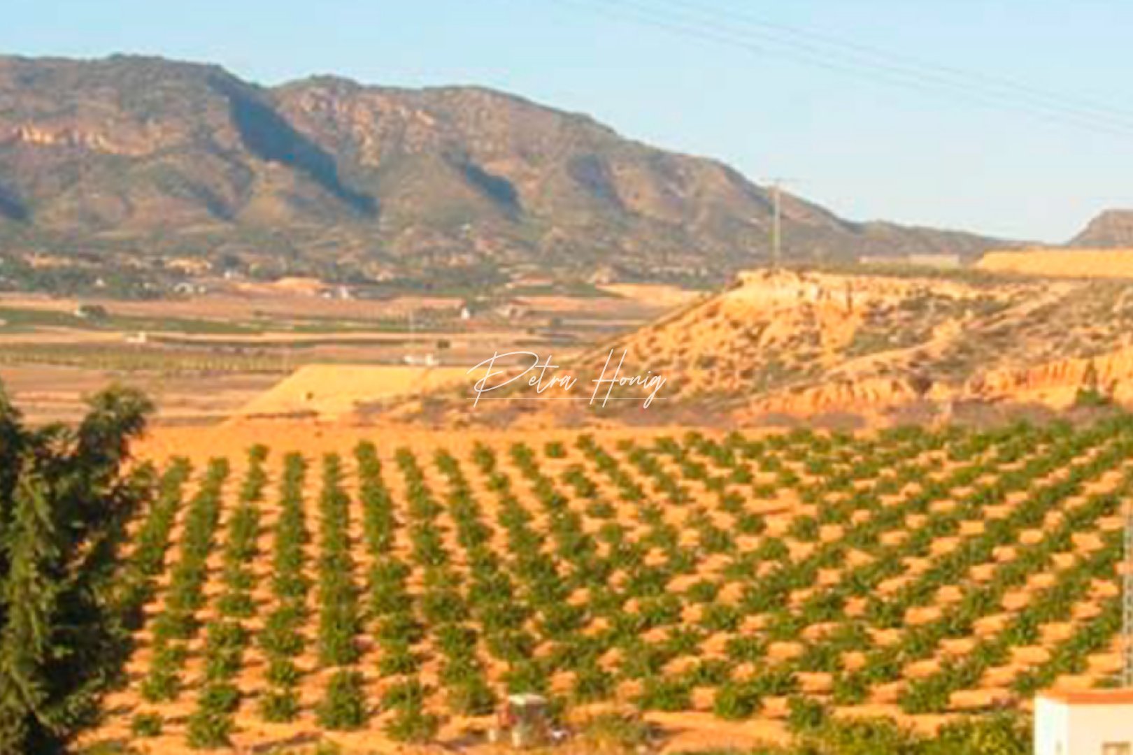 Reventa - Parcela - Other areas - Torre Pacheco