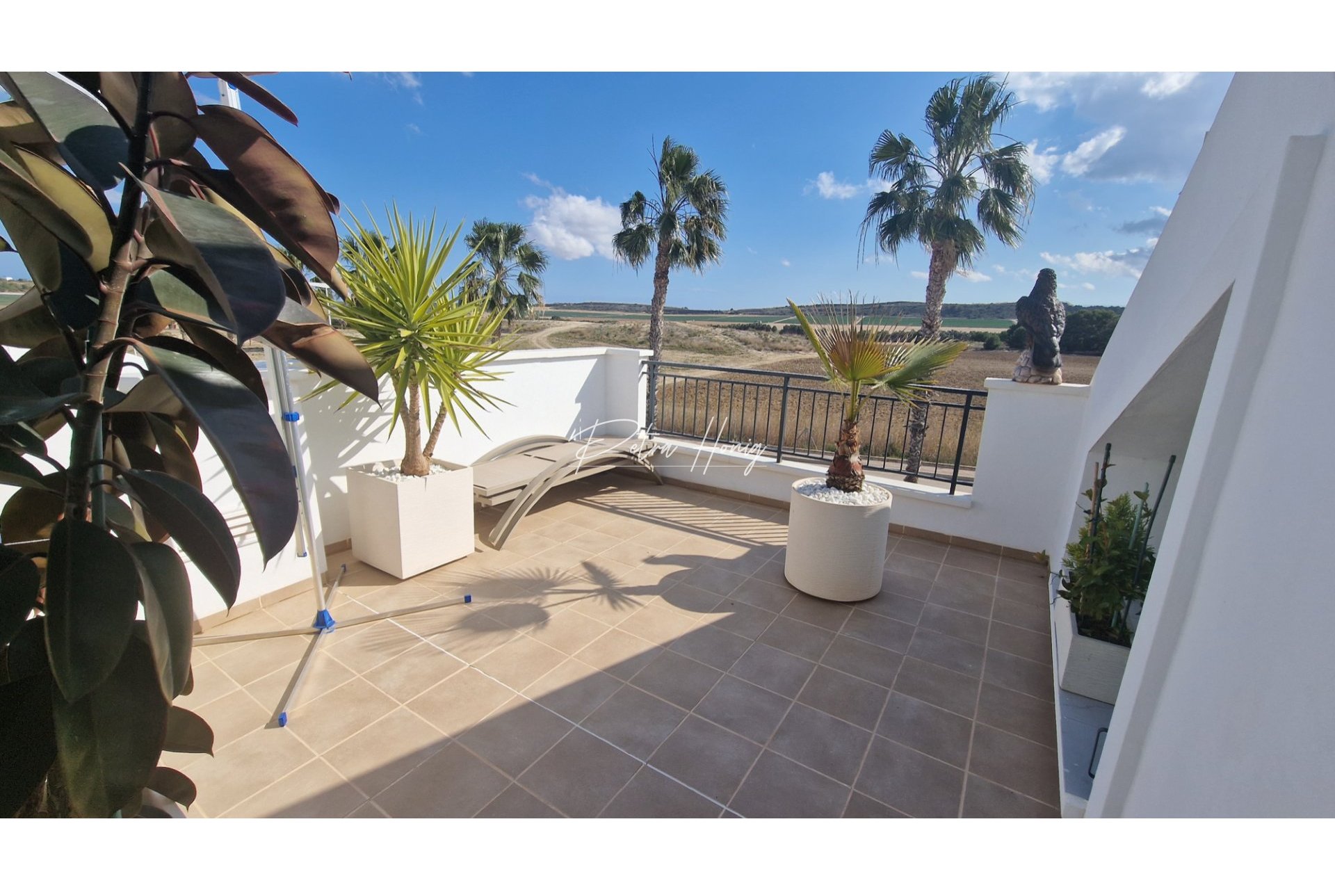 Reventa - Pareada - Algorfa - La Finca Golf