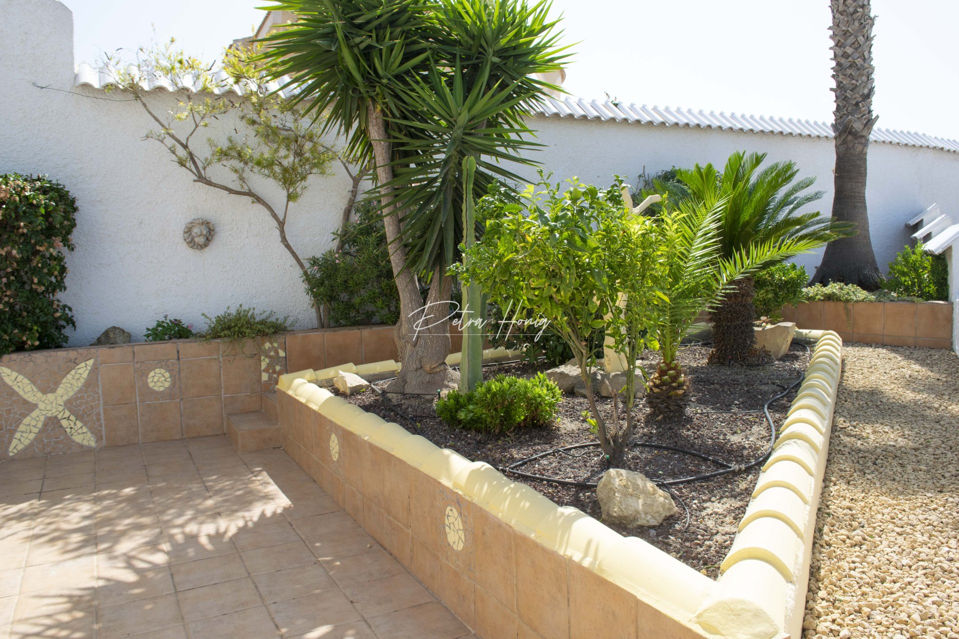Reventa - Pareada - Ciudad Quesada - La Marquesa Golf