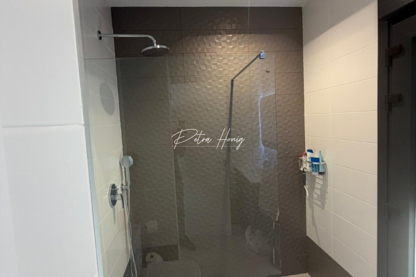 Reventa - Pareada - Ciudad Quesada - Pueblo Bravo