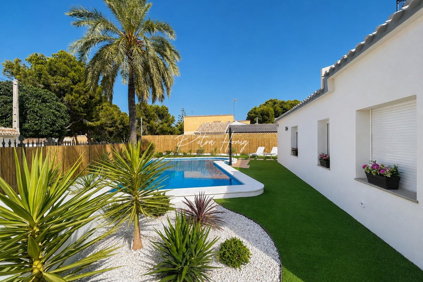 Reventa - Pareada - Orihuela Costa - Punta Prima