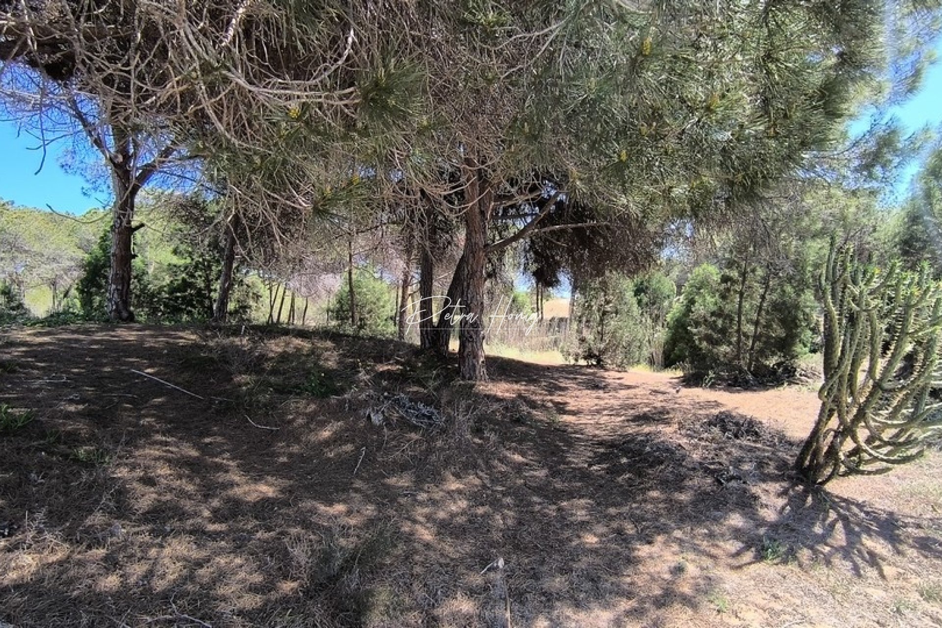 Sale - Bungalow - Guardamar del Segura - Pinomar