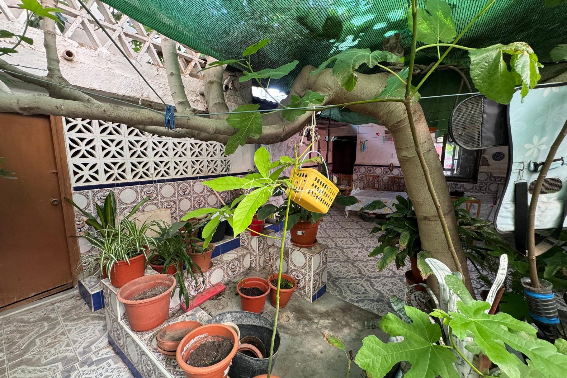 Sale - Casa - Benejuzar
