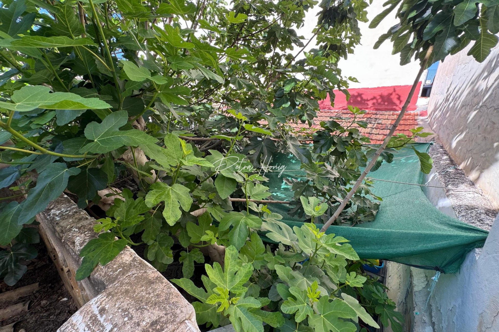 Sale - Casa - Benejuzar