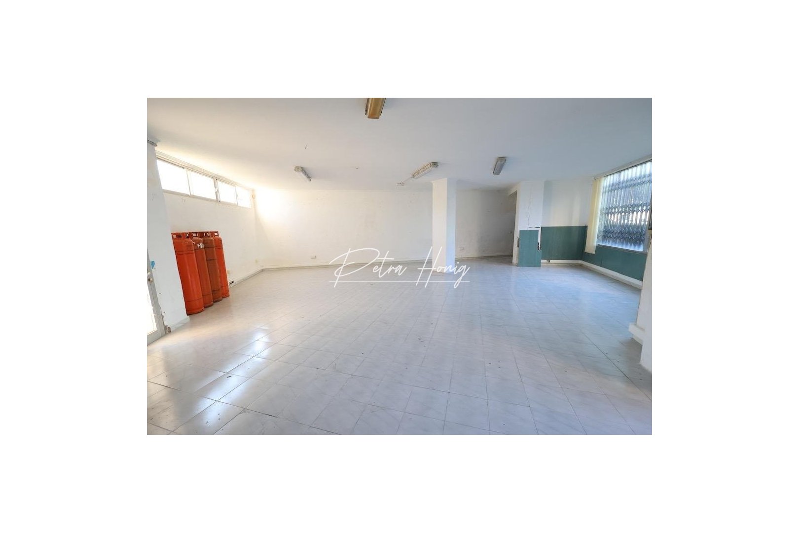 Sale - Commercial - Orihuela Costa - La Zenia