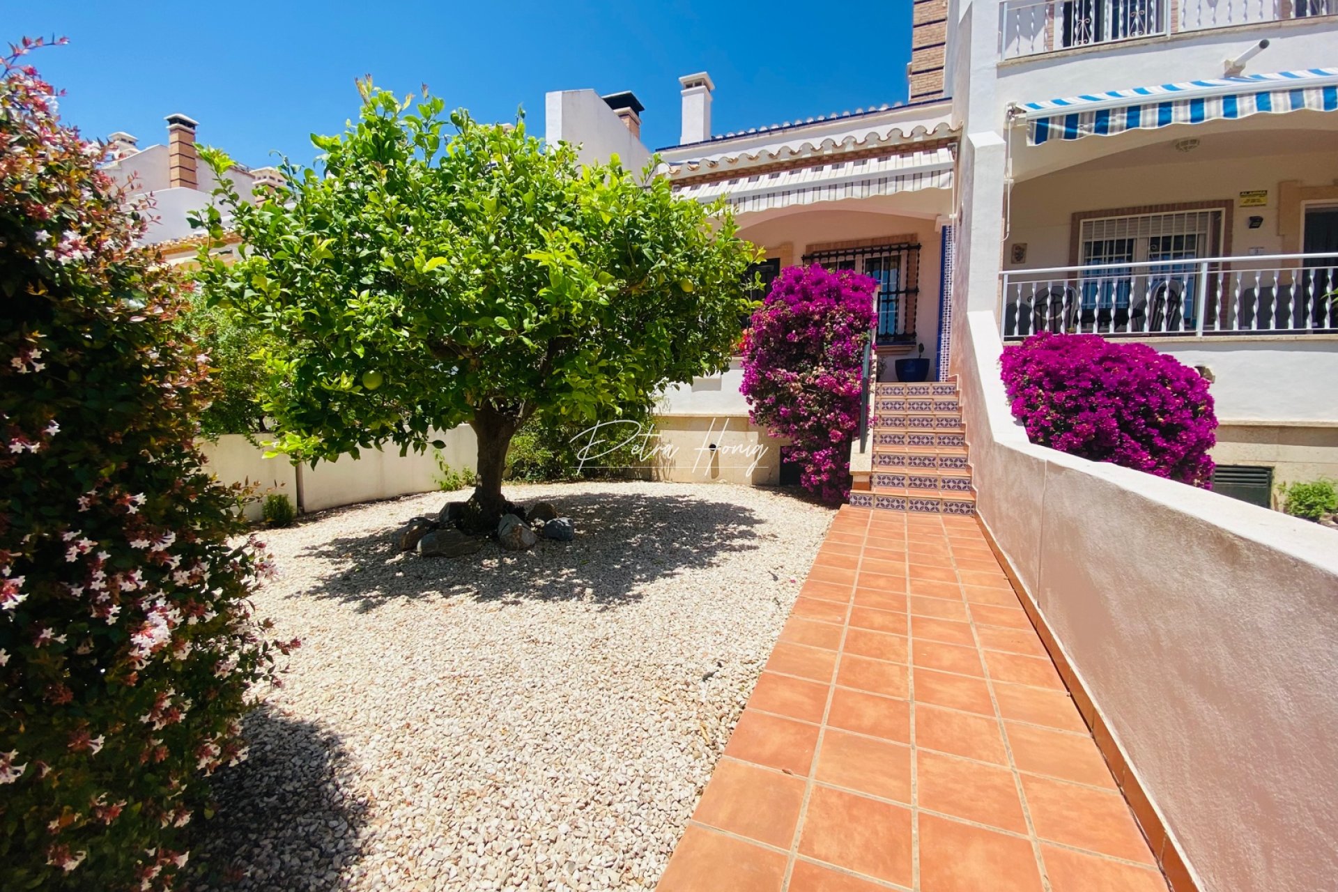 Sale -  - El Raso - El Raso, Guardamar