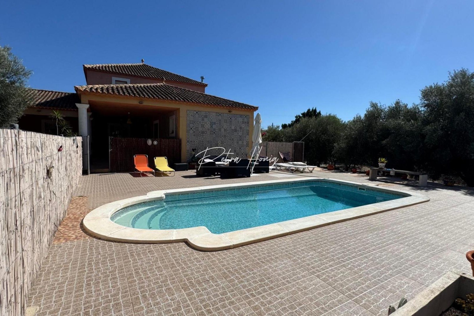 Sale - Finca - Albatera - BARRANCO SAN CAYETANO