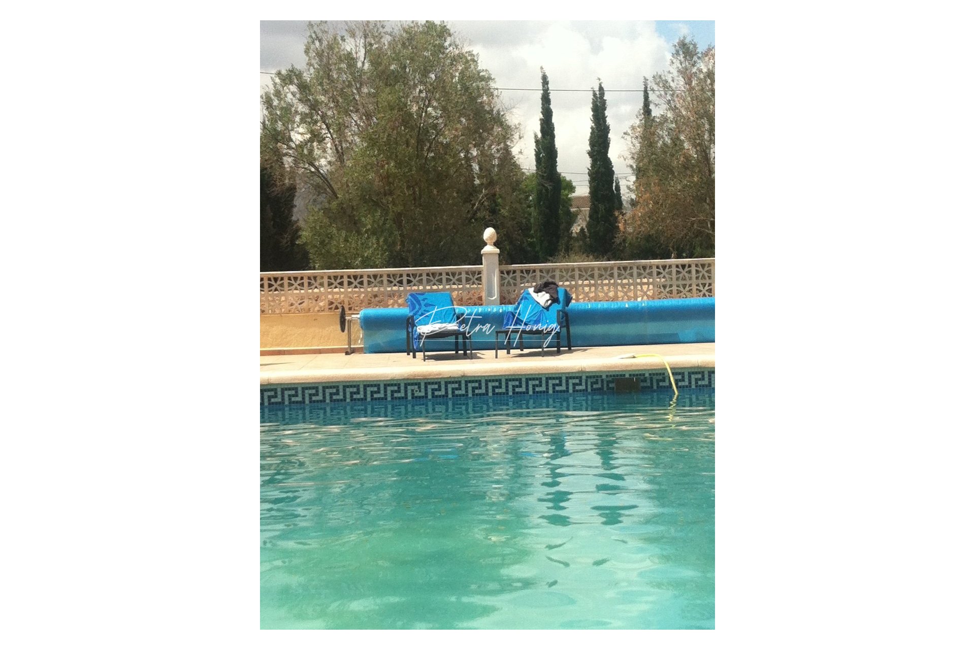 Sale - Finca - Crevillente