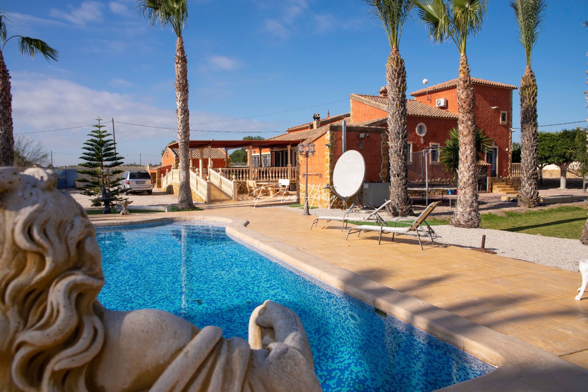 Sale - Finca - Dolores