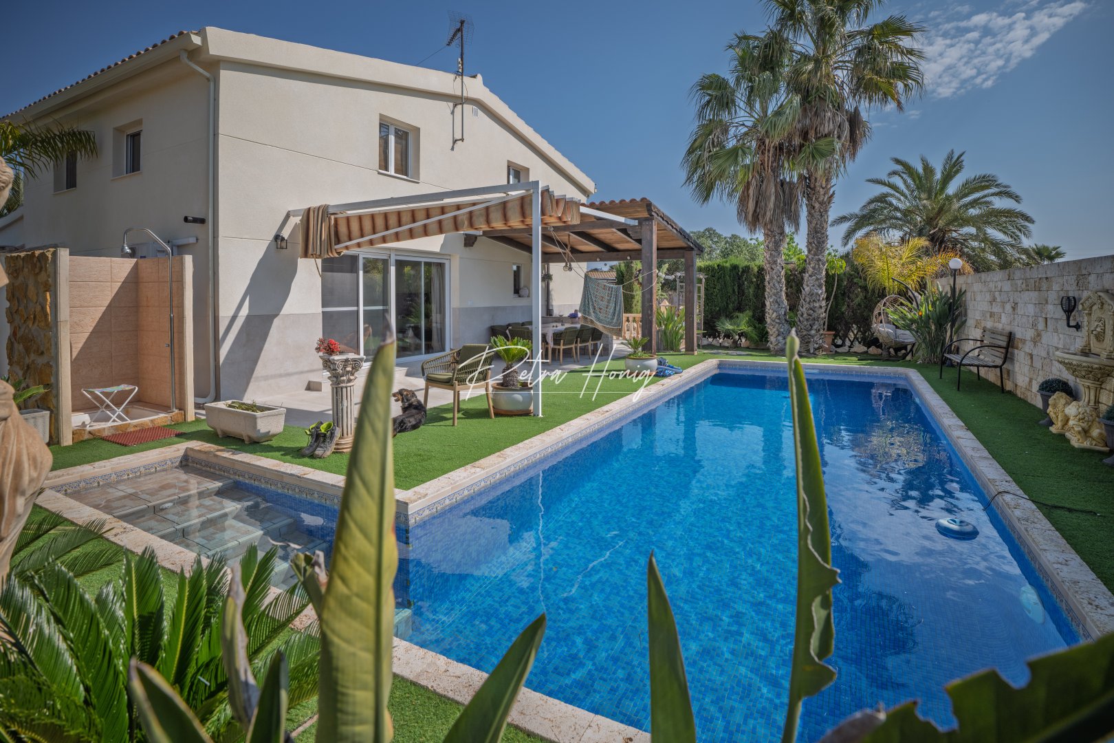 Sale - Finca - Elche - Daimés