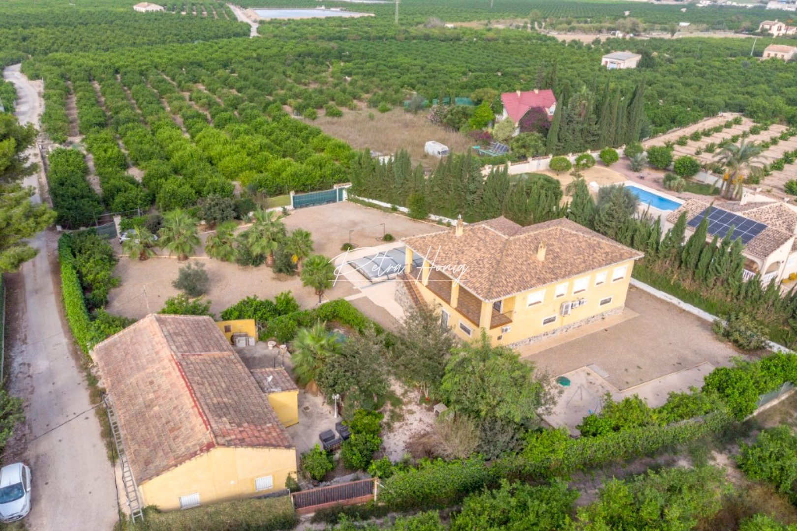 Sale - Finca - Orihuela Costa - Orihuela