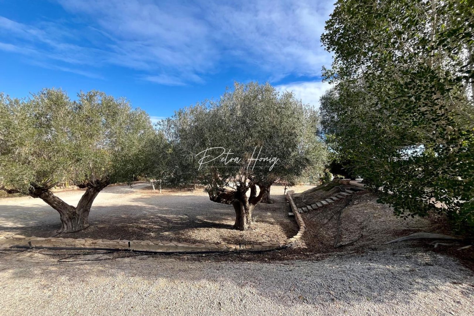 Sale - Finca - Other areas - El Esparragal