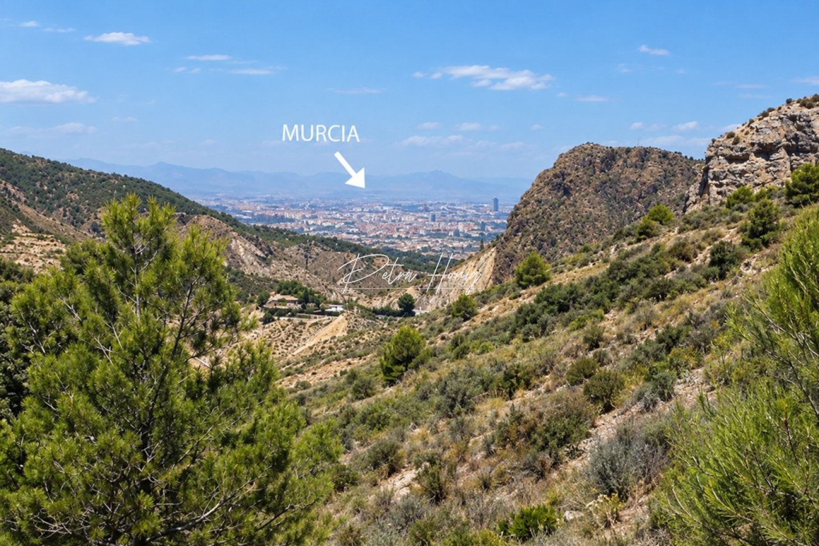 Sale - Finca - Other areas - Gea Y Truyols