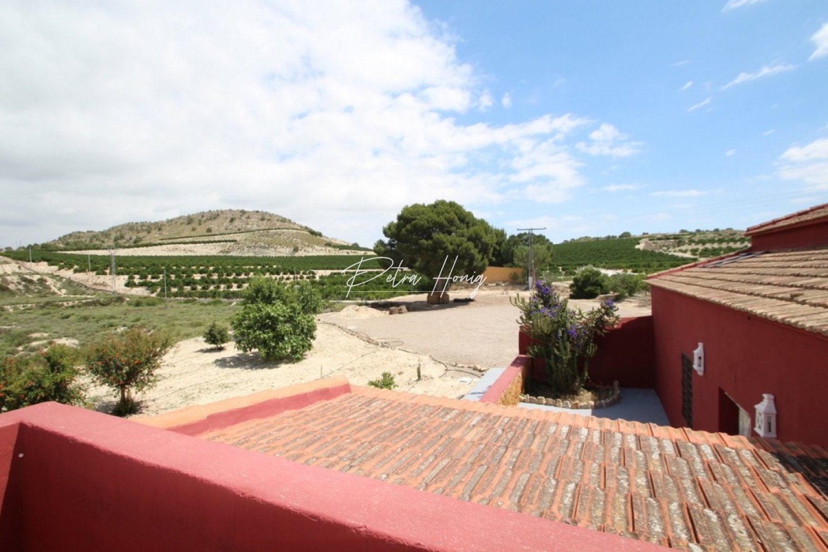 Sale - Finca - Other areas - Torremendo