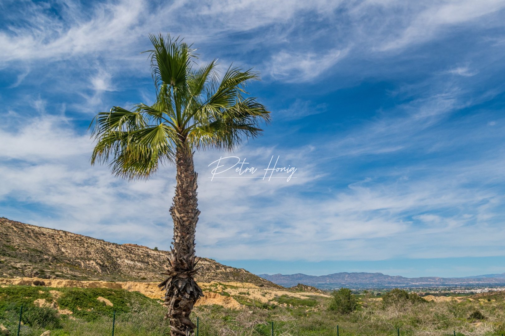 Sale -  квартира - Algorfa - La Finca Golf - LA FINCA GOLF / ALGORFA