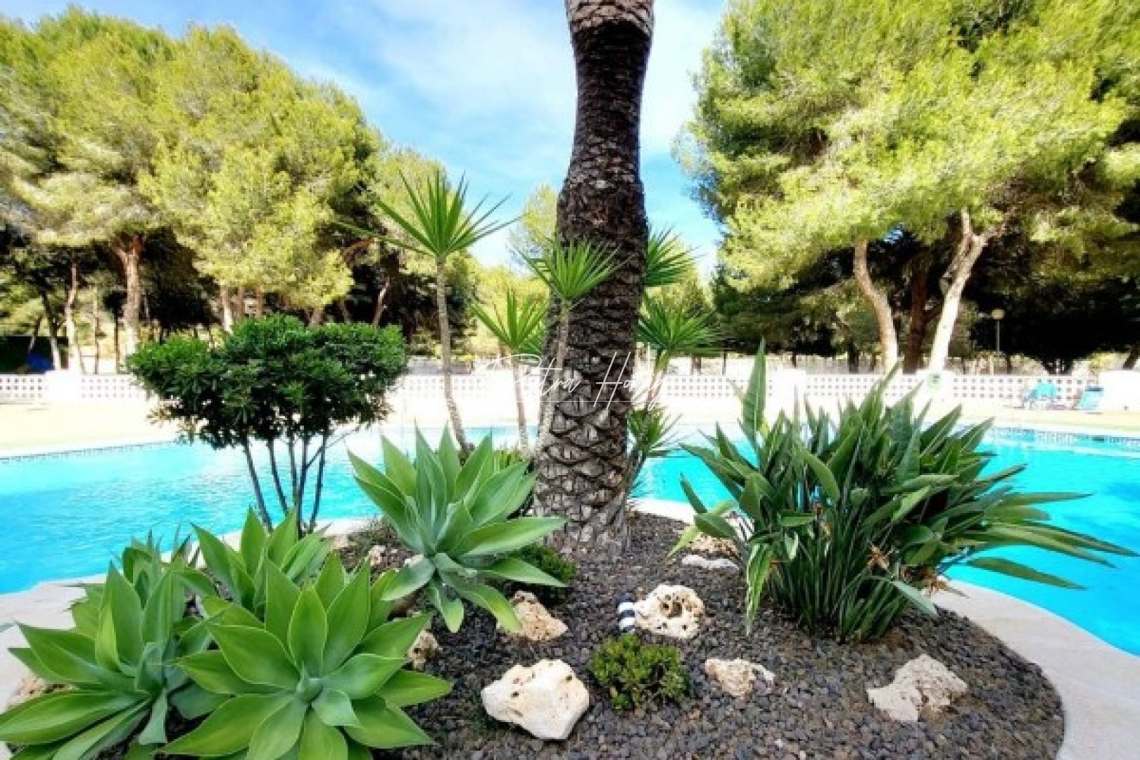 Sale -  квартира - Campoamor - Dehesa De Campoamor