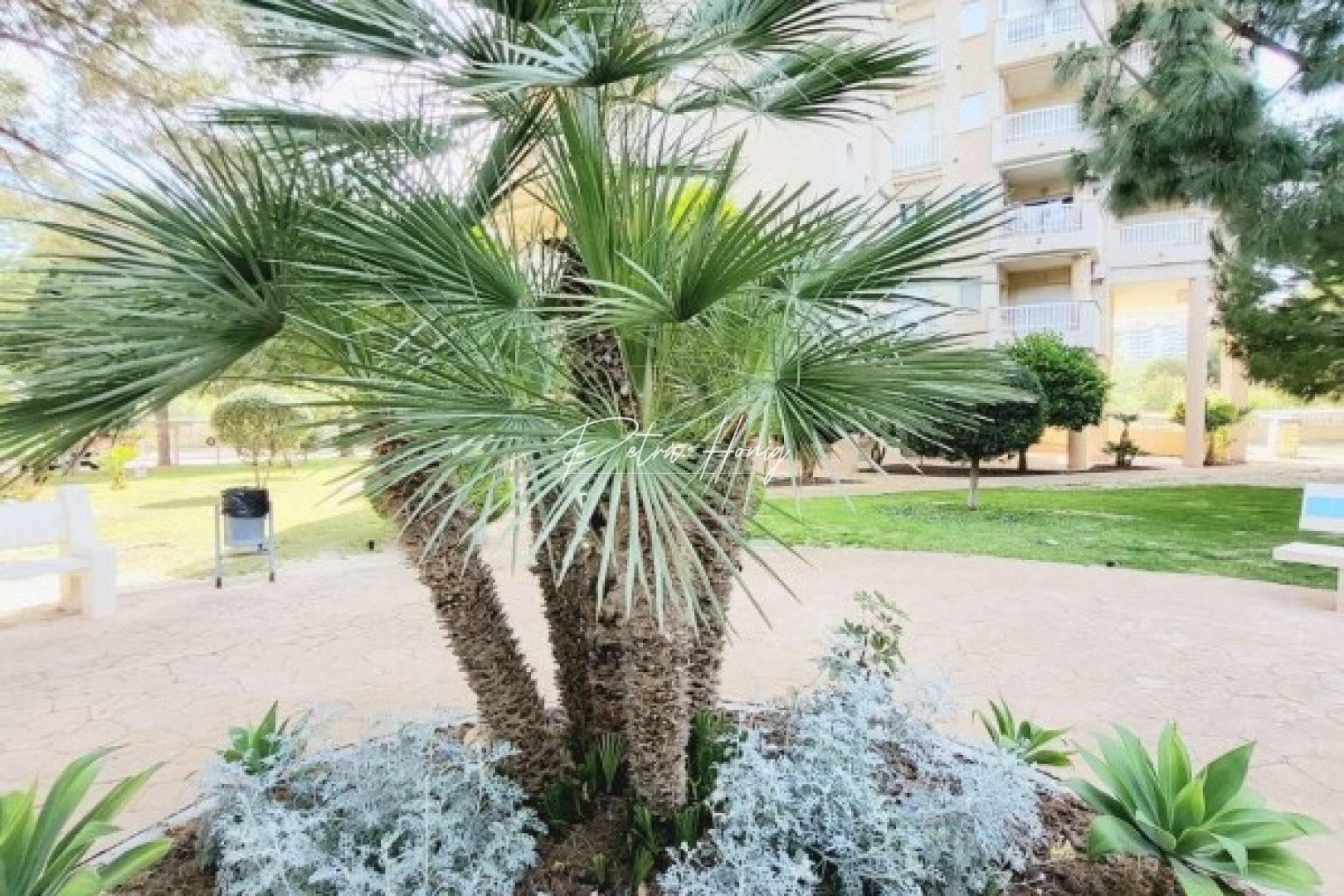 Sale -  квартира - Campoamor - Dehesa De Campoamor