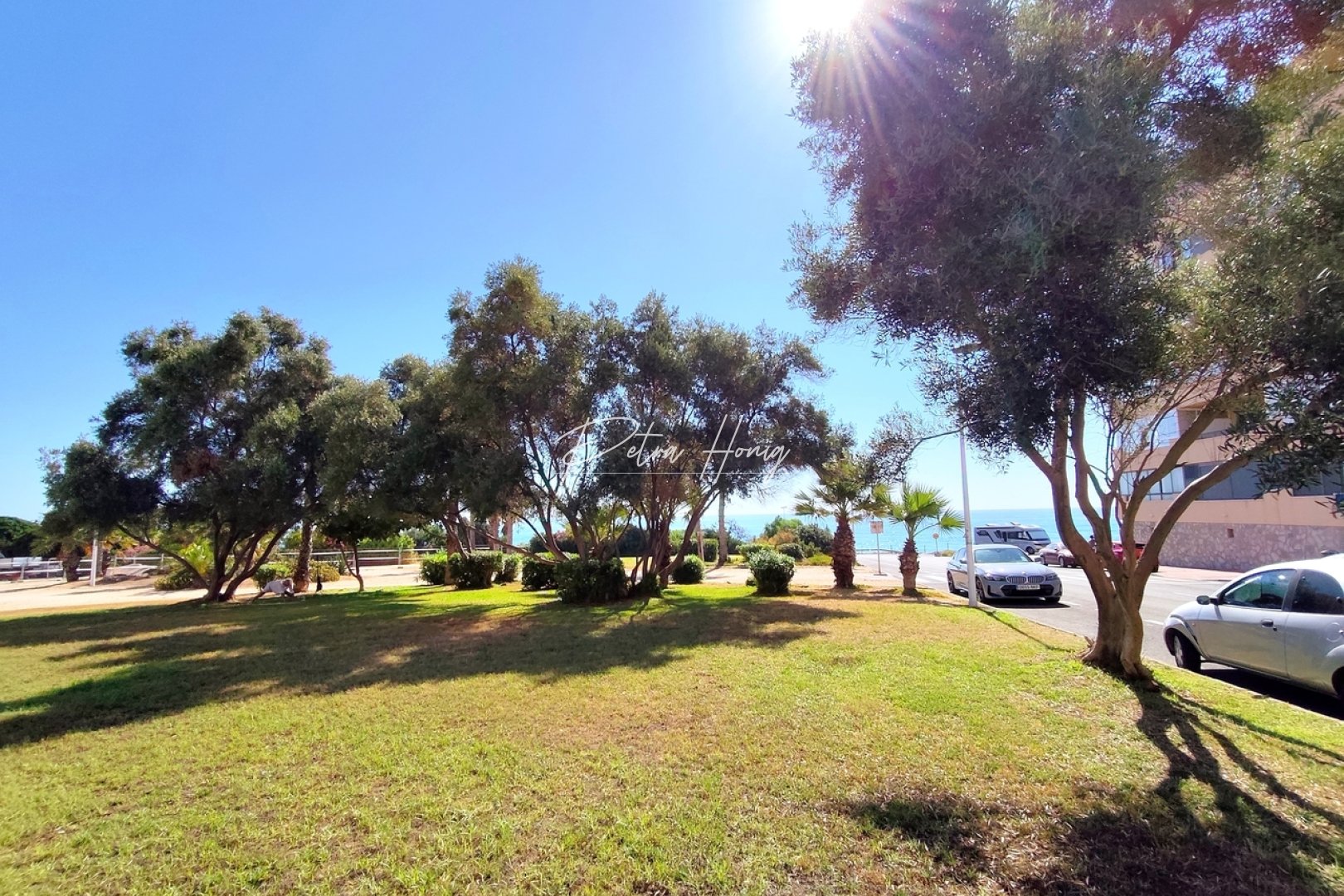 Sale -  квартира - La Mata
