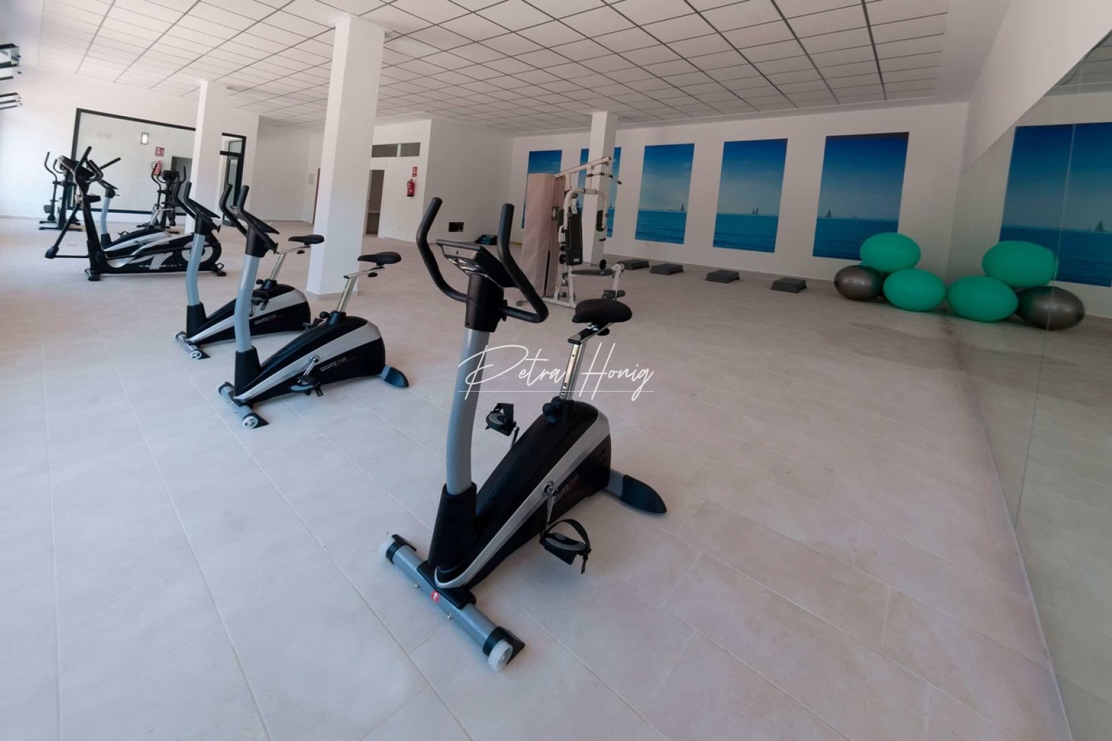 Sale -  квартира - Los Dolses